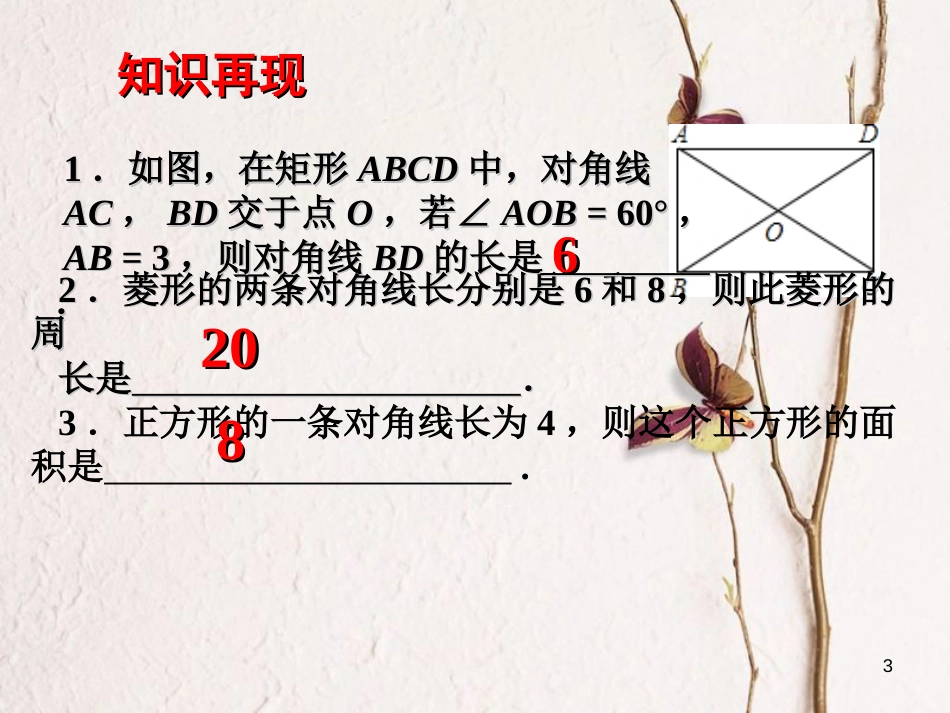中考数学 第19讲 特殊的平行四边形复习课件1 （新版）北师大版[共26页]_第3页
