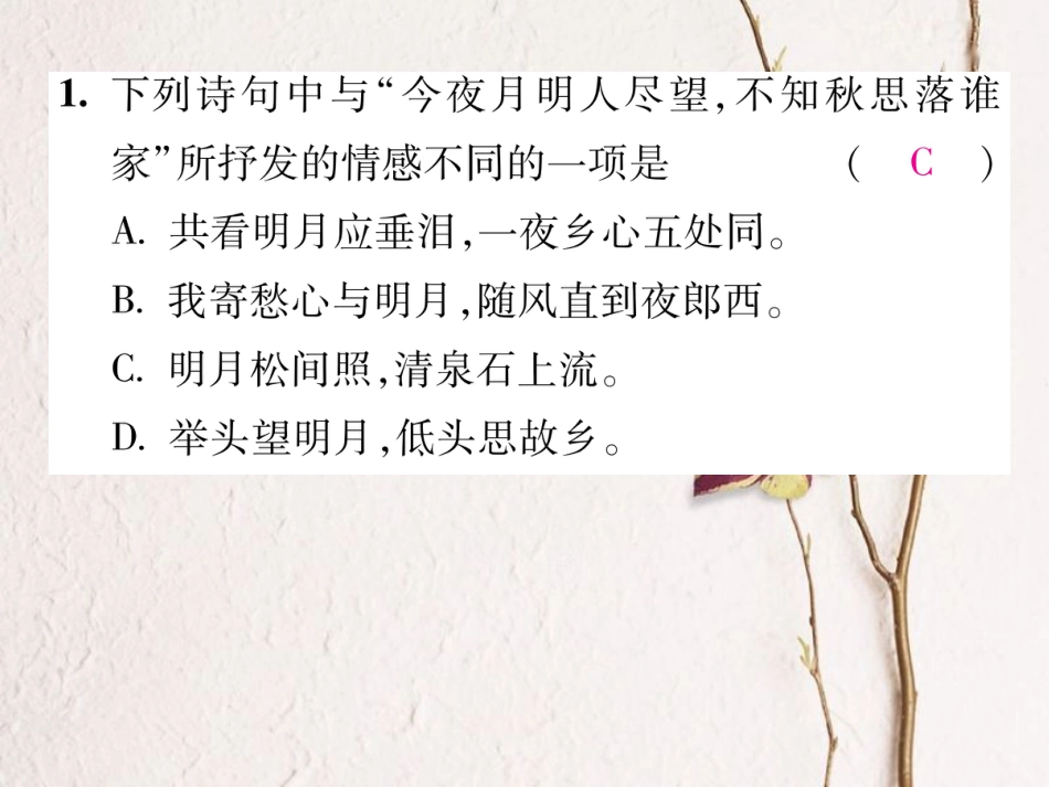 八年级语文上册 第六单元 双休作业（十二）课件 （新版）新人教版[共13页]_第3页