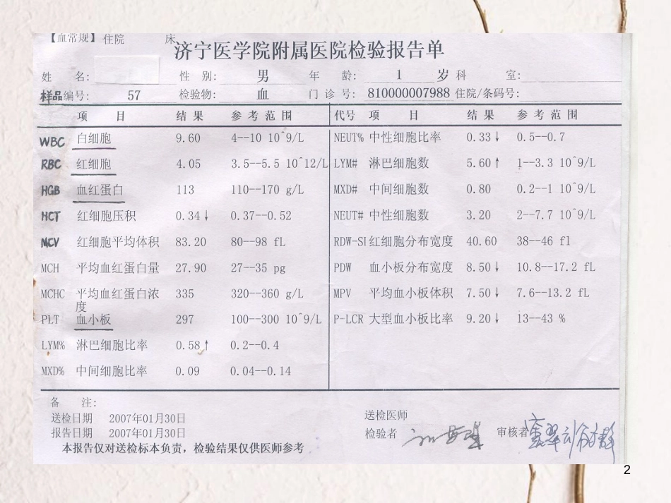 七年级生物下册 第三单元 第三章 第一节 物质运输的载体课件 （新版）济南版[共15页]_第2页
