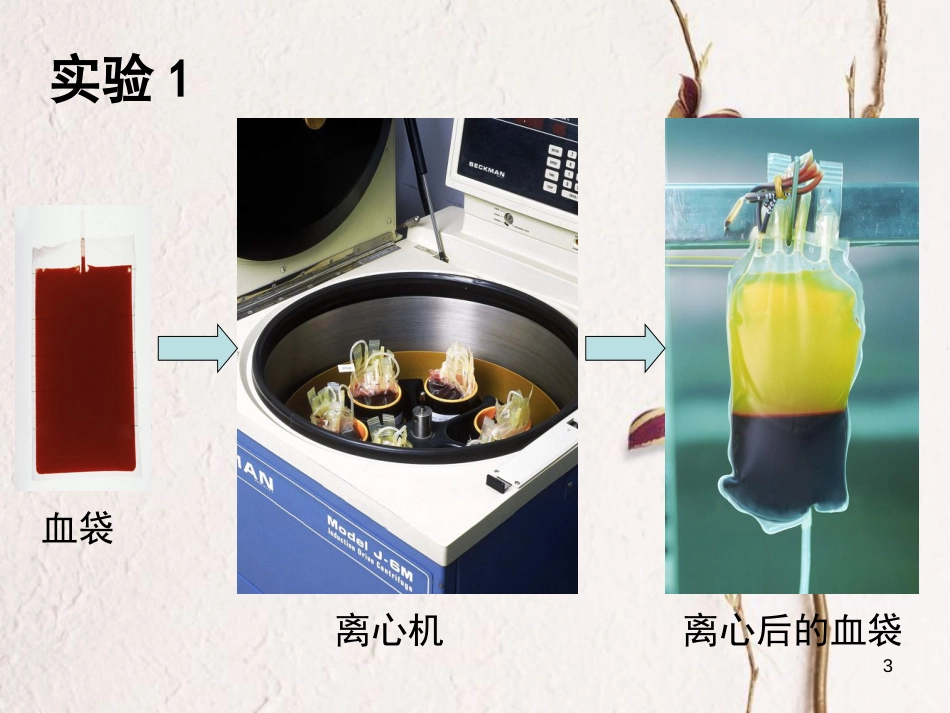 七年级生物下册 第三单元 第三章 第一节 物质运输的载体课件 （新版）济南版[共15页]_第3页