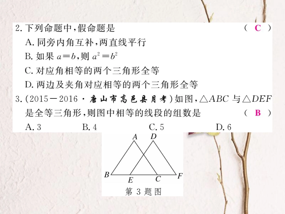 八年级数学上册 13 全等三角形检测卷课件 （新版）冀教版[共24页]_第2页