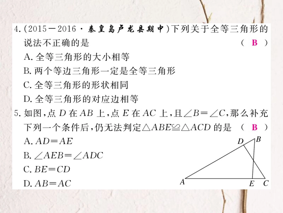 八年级数学上册 13 全等三角形检测卷课件 （新版）冀教版[共24页]_第3页