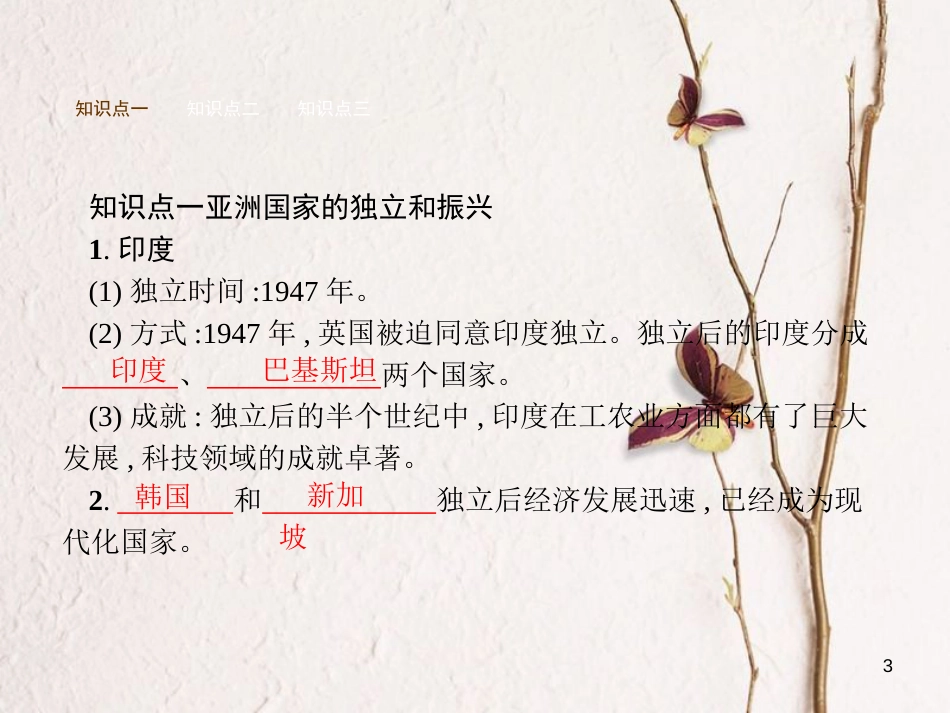 九年级历史下册 第六单元 亚非拉国家的独立和振兴 12 亚非拉的奋起课件 新人教版_第3页