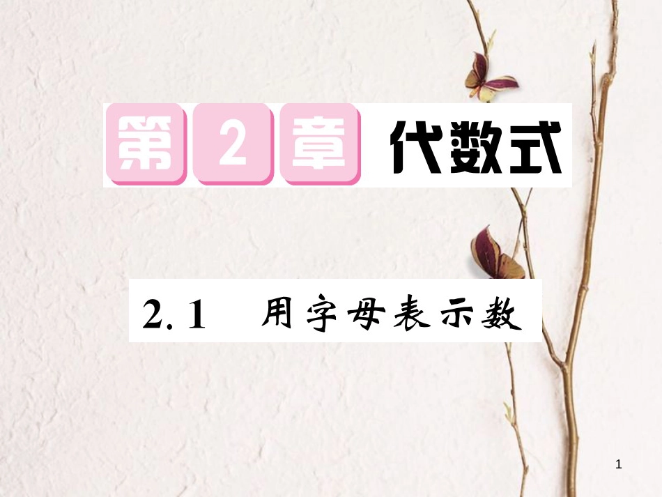 七年级数学上册 2.1 用字母表示数课件 （新版）湘教版_第1页