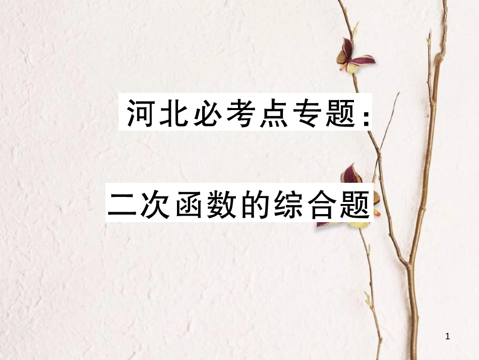 河北省中考数学 必考点专题 二次函数的综合题课件_第1页