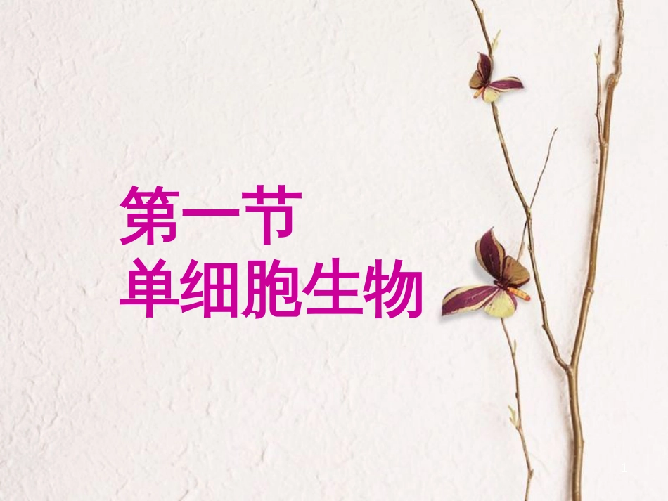 七年级生物上册 第三单元 第四章 第三节 单细胞生物课件（1）（新版）苏教版[共17页]_第1页