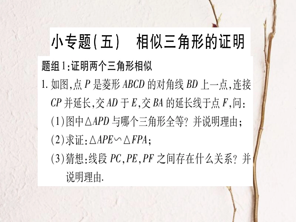 九年级数学上册 小专题（五）相似三角形的证明课件 （新版）北师大版_第1页