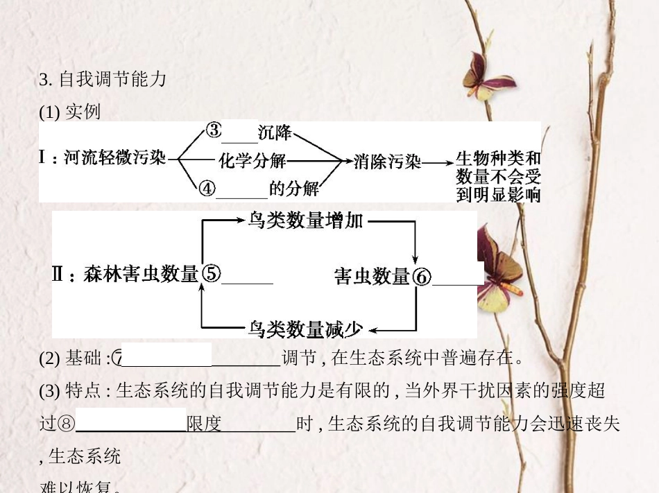 （新课标）高考生物一轮复习 稳态与环境 第9单元 生物与环境 第32讲 生态系统的稳定性与生态环境的保护课件（必修3）[共30页]_第3页
