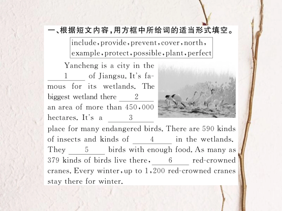 八年级英语上册 Unit 6 Bird watching（第4课时）课件 （新版）牛津版[共8页]_第2页