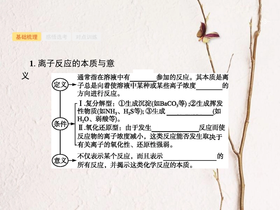 浙江省高考化学一轮复习 4 离子反应　离子方程式课件 苏教版[共42页]_第3页