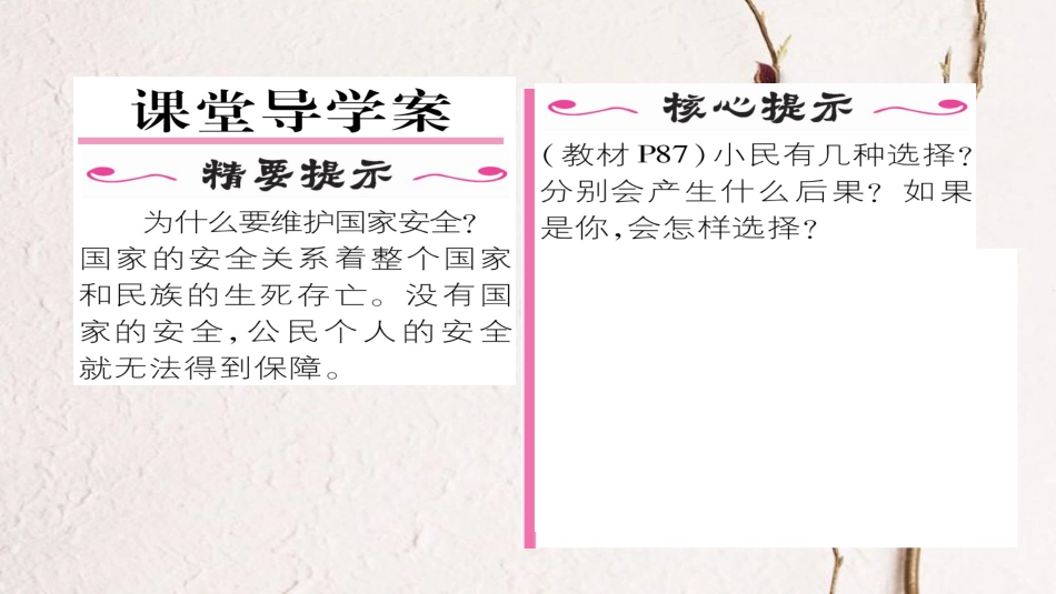 九年级政治全册 第三单元 融入社会 肩负使命 第六课 参与政治生活 第3框 依法参与政治生活同步作业课件 新人教版[共18页]_第2页