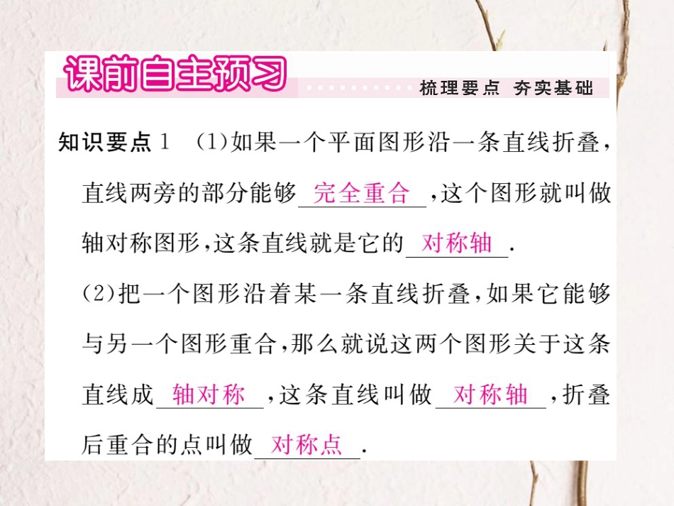 八年级数学上册 16.1 轴对称习题课件 （新版）冀教版_第2页