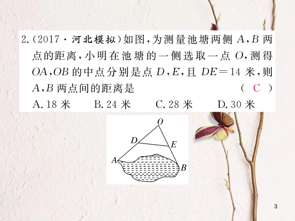 八年级数学下册 第22章 四边形 22.3 三角形的中位线练习课件 （新版）冀教版_第3页