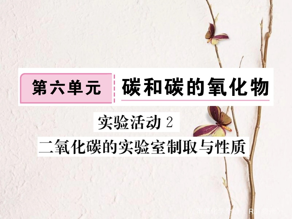 （贵州专）九年级化学上册 第六单元 实验活动2 二氧化碳的实验室制取与性质复习课件 （新）新人教版_第1页