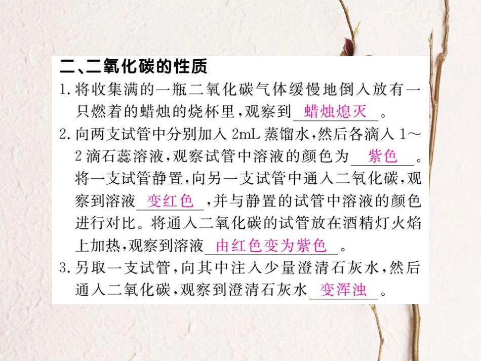 （贵州专）九年级化学上册 第六单元 实验活动2 二氧化碳的实验室制取与性质复习课件 （新）新人教版_第3页