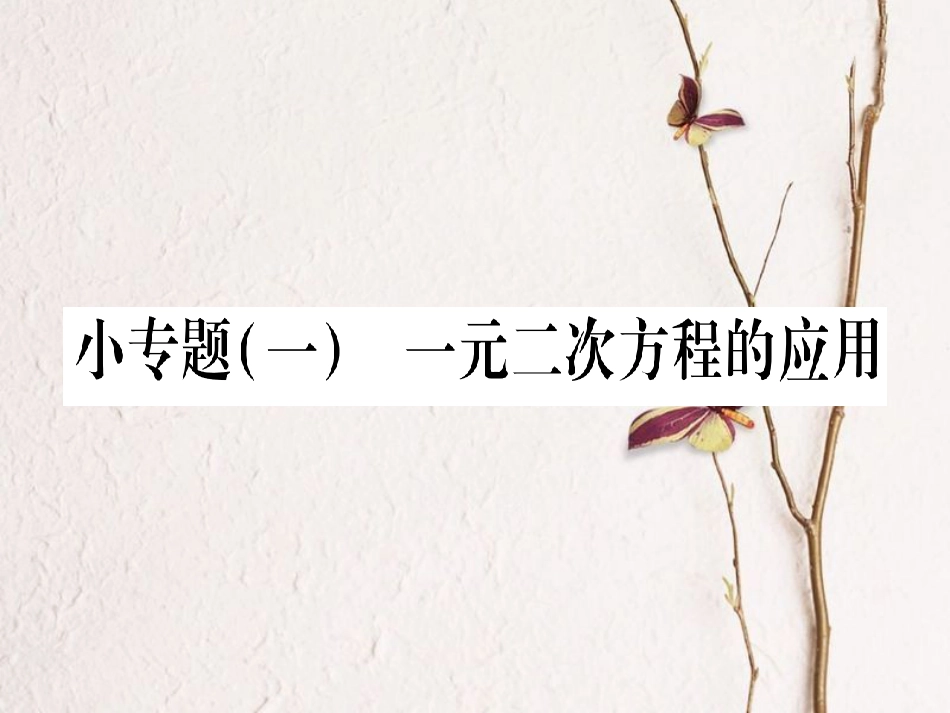 九年级数学上册 小专题（一）一元二次方程的应用习题课件 （新版）华东师大版_第1页