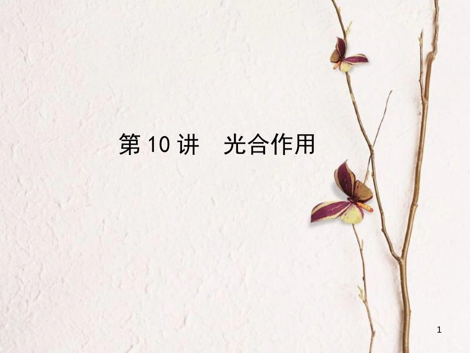 高考生物一轮复习 第3单元 细胞的能量供应和利用 第10讲 光合作用课件_第1页