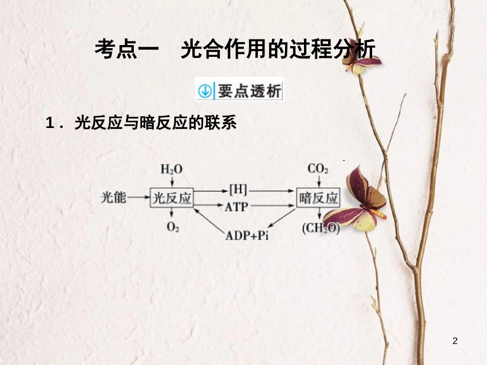 高考生物一轮复习 第3单元 细胞的能量供应和利用 第10讲 光合作用课件_第2页