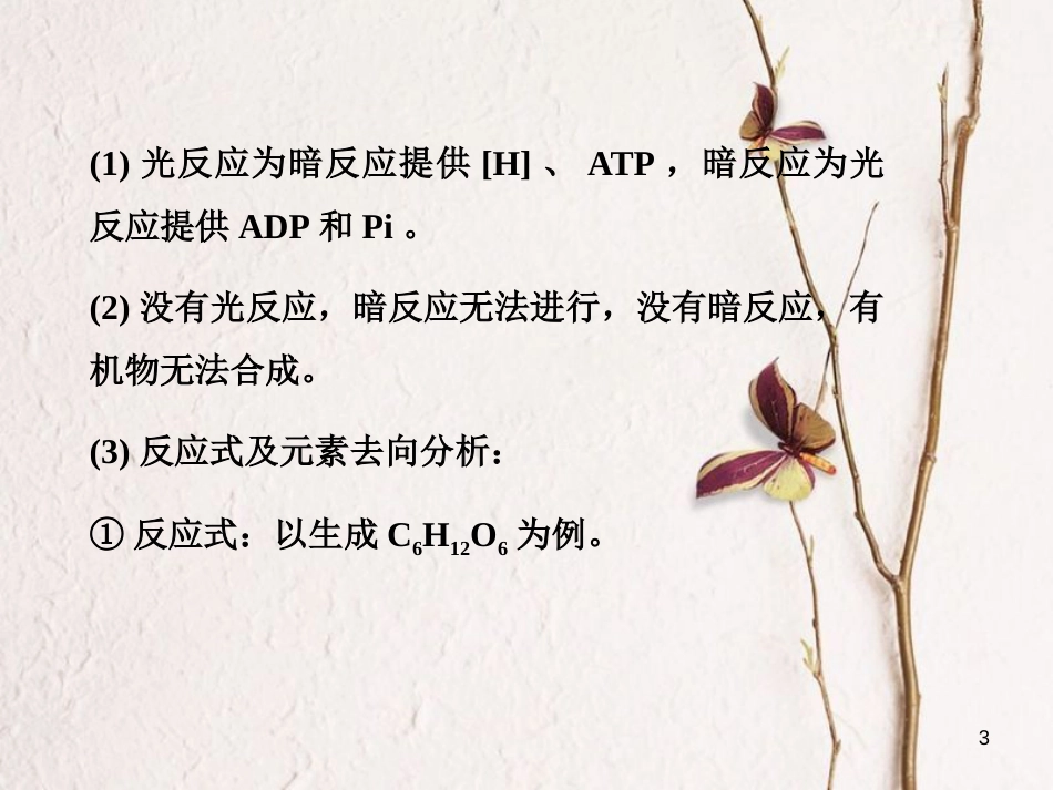 高考生物一轮复习 第3单元 细胞的能量供应和利用 第10讲 光合作用课件_第3页