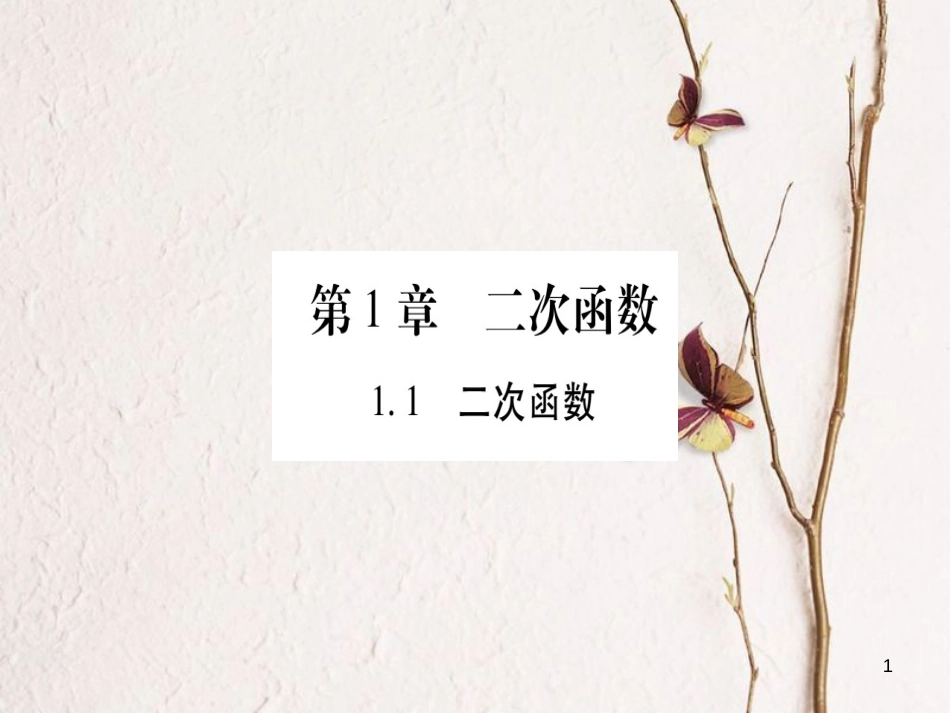 九年级数学下册 1.1 二次函数习题课件 （新版）湘教版_第1页