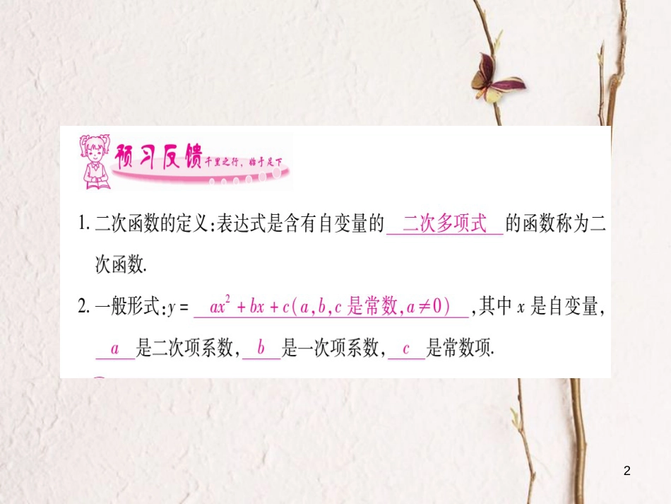 九年级数学下册 1.1 二次函数习题课件 （新版）湘教版_第2页