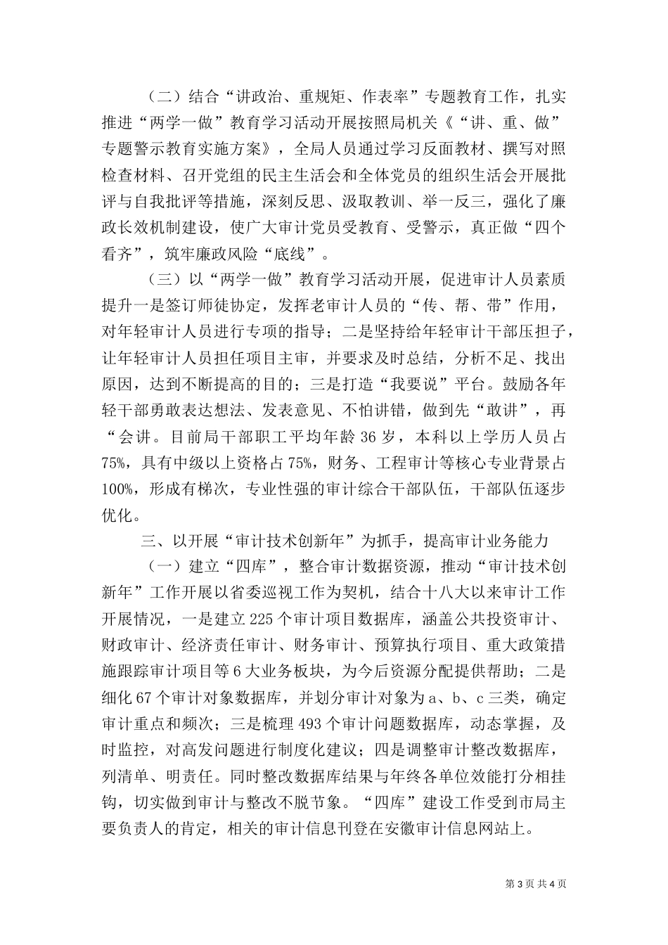 审计局2021年工作总结和2021年工作计划（二）_第3页