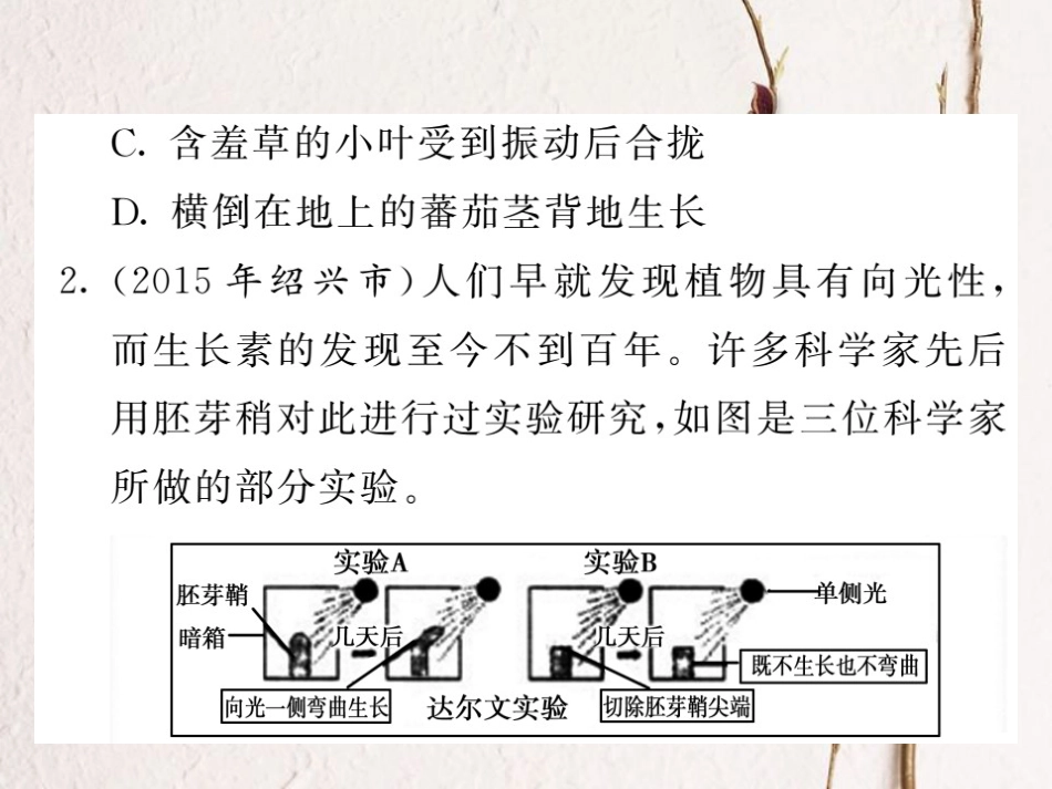 八年级科学上册 3 生命活动的调节挑战中考 易错专攻课件 （新版）浙教版[共18页]_第3页