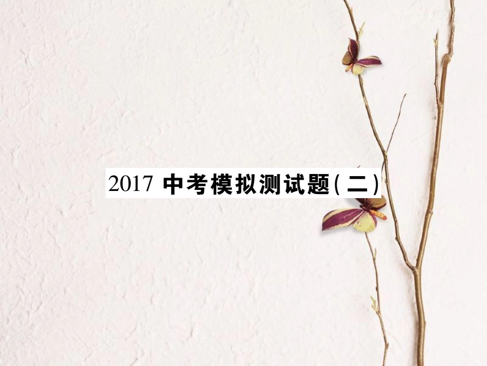 中考数学总复习 模拟测试题（二）课件[共69页]_第1页