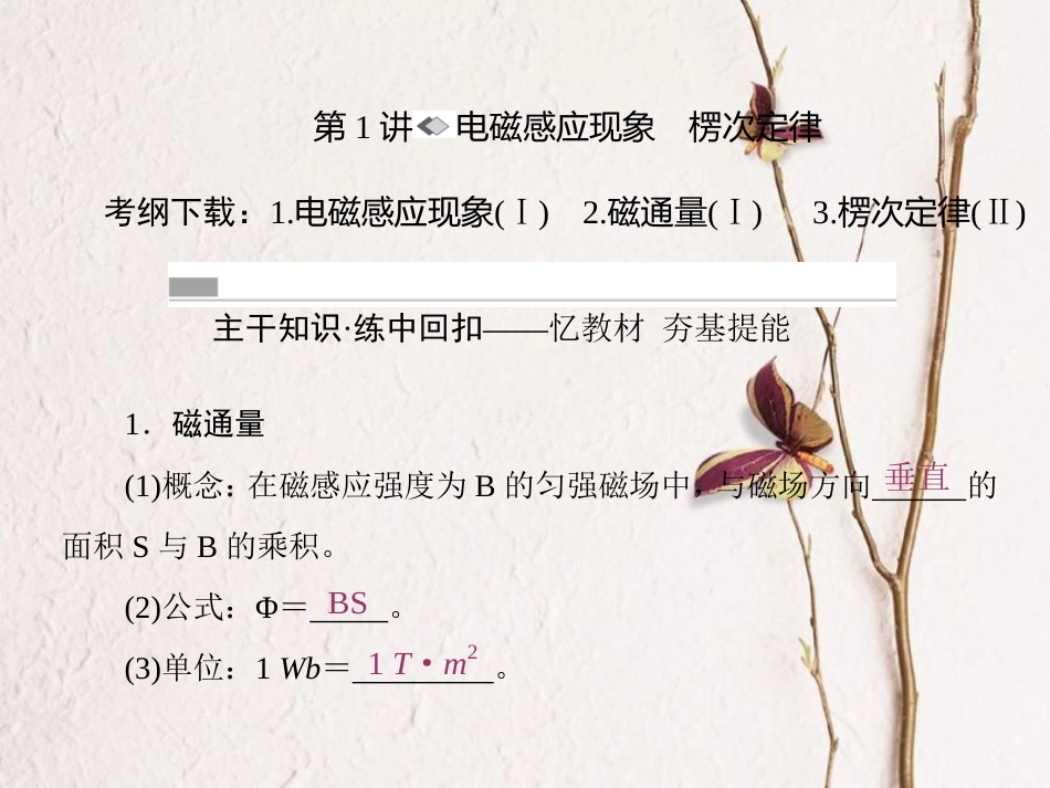 （新课标）高考物理一轮复习 第九章 电磁感应 第1讲 电磁感应现象 楞次定律课件_第2页