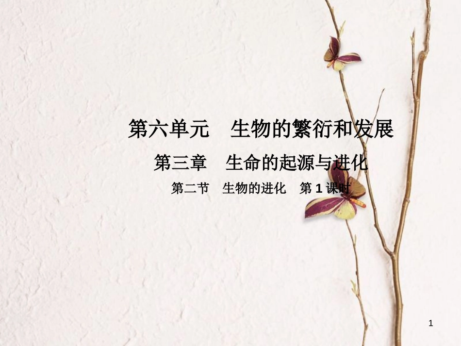 八年级生物下册 第六单元 第三章 第二节 生物的进化（第1课时）课件 （新版）冀教版_第1页