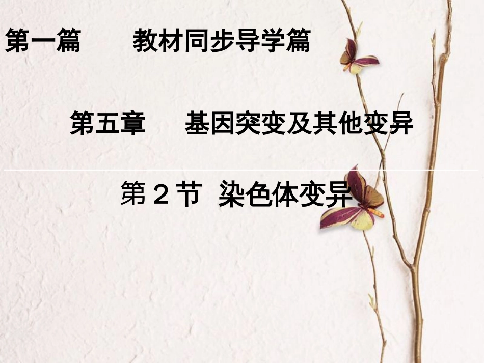 高中生物 第五章 基因突变及其他变异 第2节 染色体变异课件 新人教版必修2[共42页]_第1页