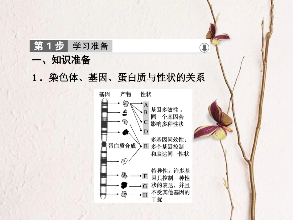 高中生物 第五章 基因突变及其他变异 第2节 染色体变异课件 新人教版必修2[共42页]_第2页