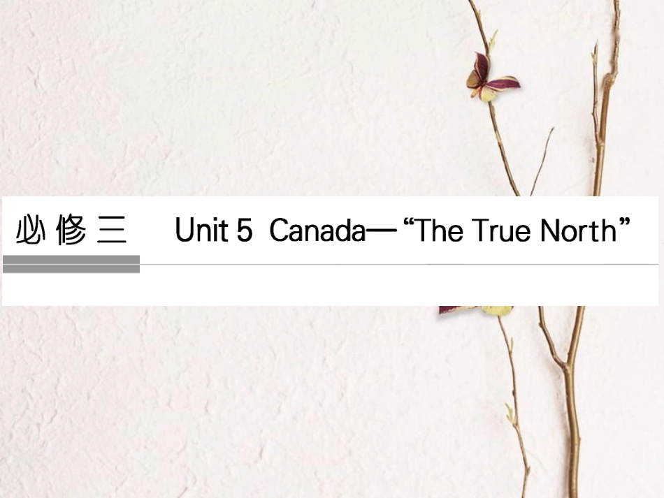 (全国)高考英语一轮复习 Unit 5 Canada The True North课件 新人教必修3_第1页