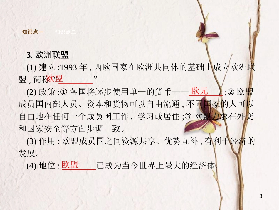 九年级历史下册 第四单元 战后主要资本主义国家的发展变化 9 西欧和日本经济的发展课件 新人教版_第3页