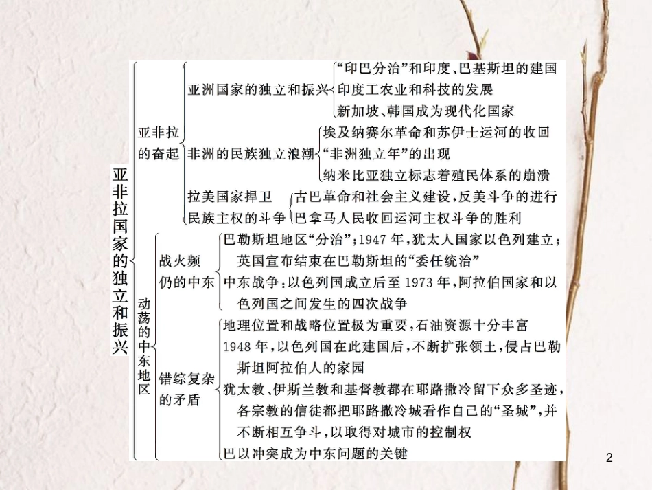 九年级历史下册 第六单元 亚非拉国家的独立和振兴综合复习课件 新人教版_第2页