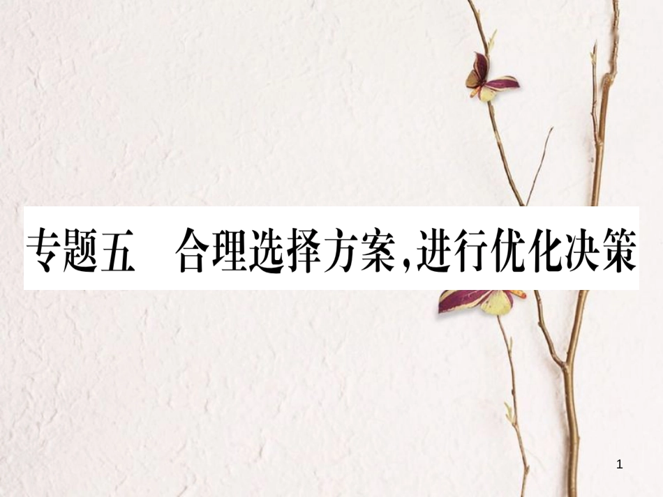 八年级数学下册 专题5 合理选择方案，进行优化决策课件 （新版）新人教版_第1页