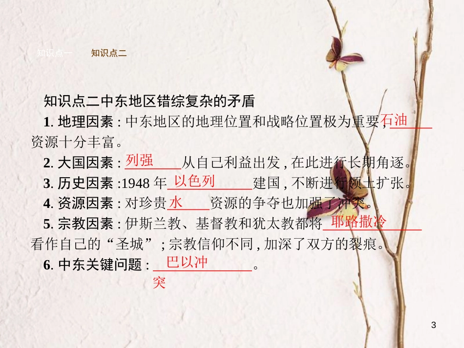 九年级历史下册 第六单元 亚非拉国家的独立和振兴 13 动荡的中东地区课件 新人教版_第3页