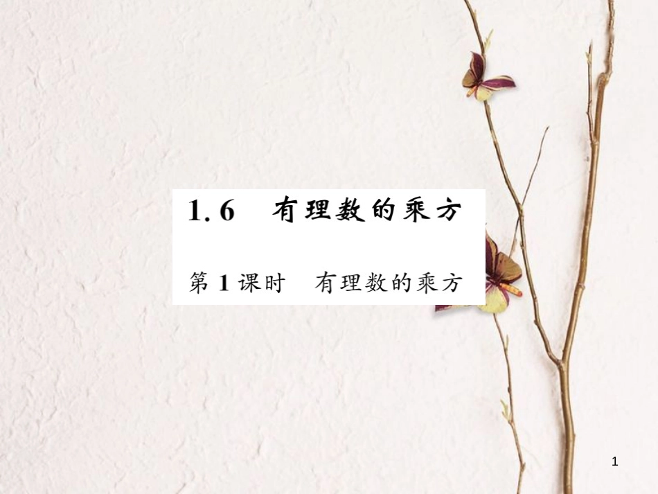 七年级数学上册 1.6 有理数的乘方课件 （新版）湘教版_第1页