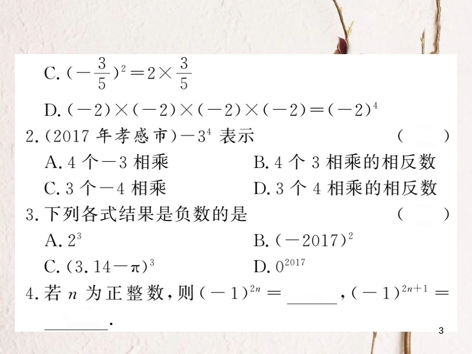 七年级数学上册 1.6 有理数的乘方课件 （新版）湘教版_第3页