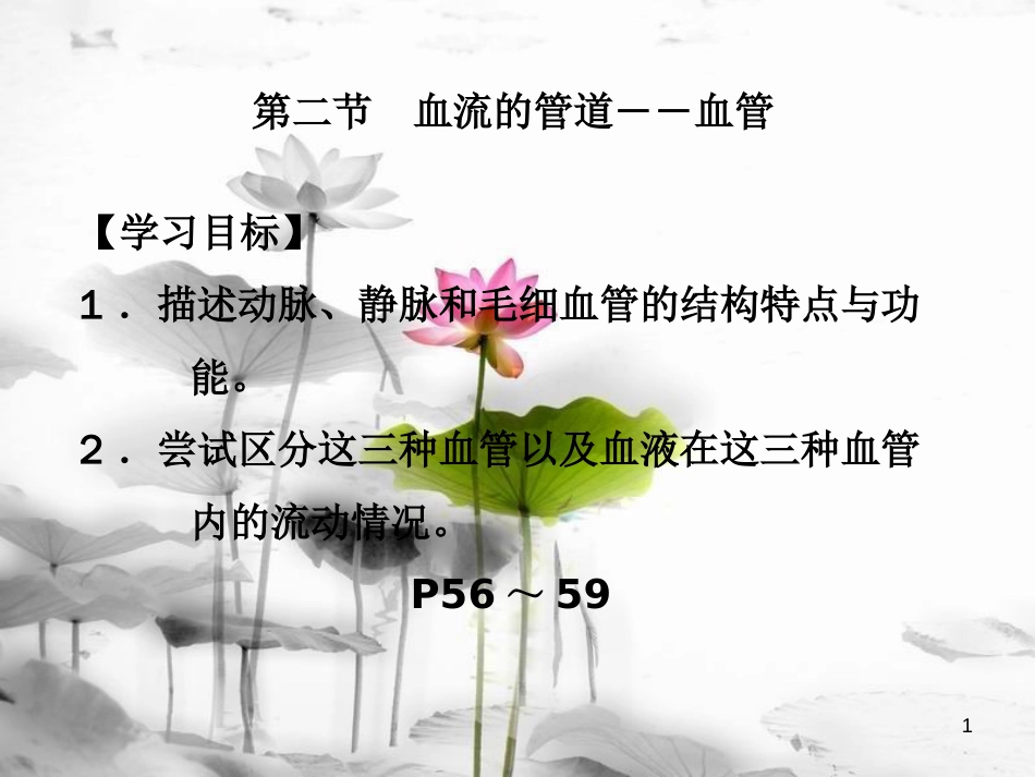 安徽省桐城市嬉子湖中心学校七年级生物下册 4.4.2 血流的管道-血管课件 （新版）新人教版_第1页
