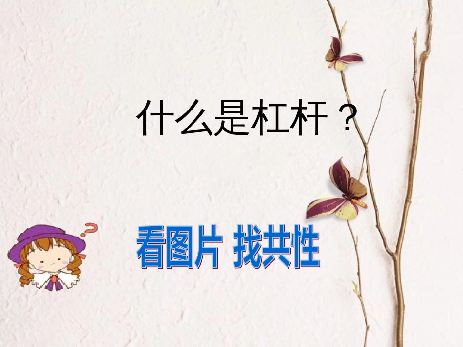 九年级科学上册 第3章 第3节 杠杆课件 华东师大版[共18页]_第2页