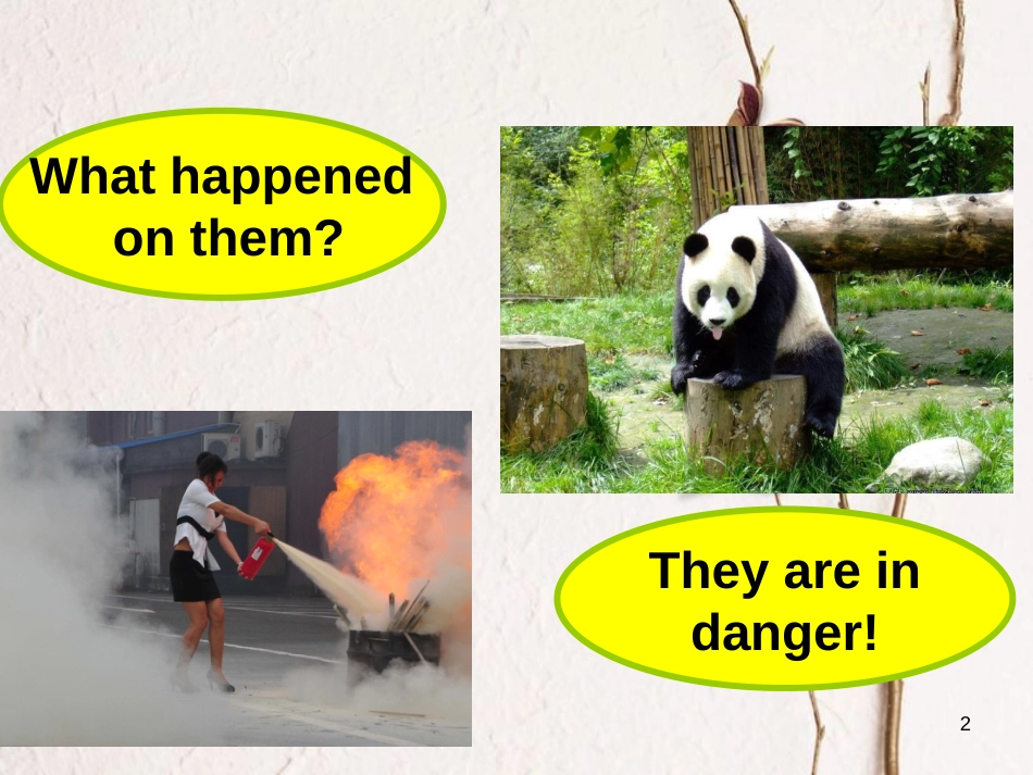 七年级英语下册 Unit 5 Why do you like pandas（第4课时）Section B（2a-3b）课件 （新版）人教新目标版_第2页