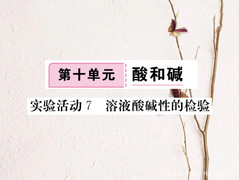 （贵州专）九年级化学下册 第十单元 实验活动7 溶液酸碱度的检验复习课件 （新）新人教版_第1页