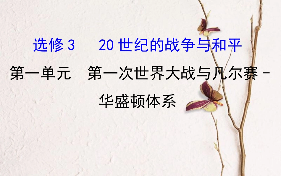 （通史）高考历史一轮复习 20世纪的战争与和平 第一单元 第一次世界大战与凡尔赛-华盛顿体系课件 新人教选修3_第1页