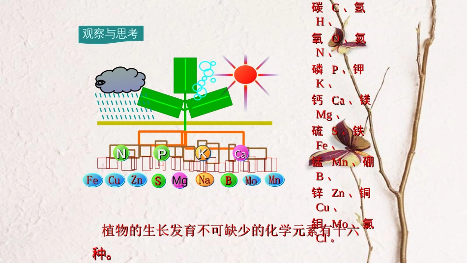 九年级化学下册 第11单元 盐 化肥 课题2 化学肥料教学课件 （新版）新人教版[共22页]_第2页