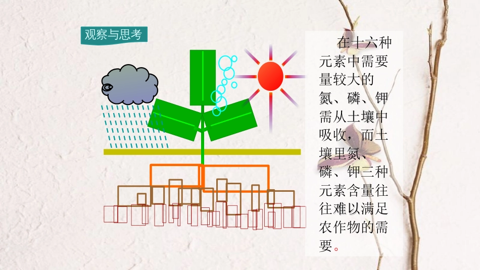 九年级化学下册 第11单元 盐 化肥 课题2 化学肥料教学课件 （新版）新人教版[共22页]_第3页