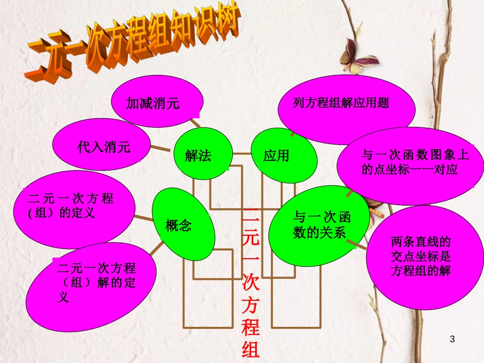 中考数学 第6讲 二元一次方程组复习课件1 （新版）北师大版[共23页]_第3页