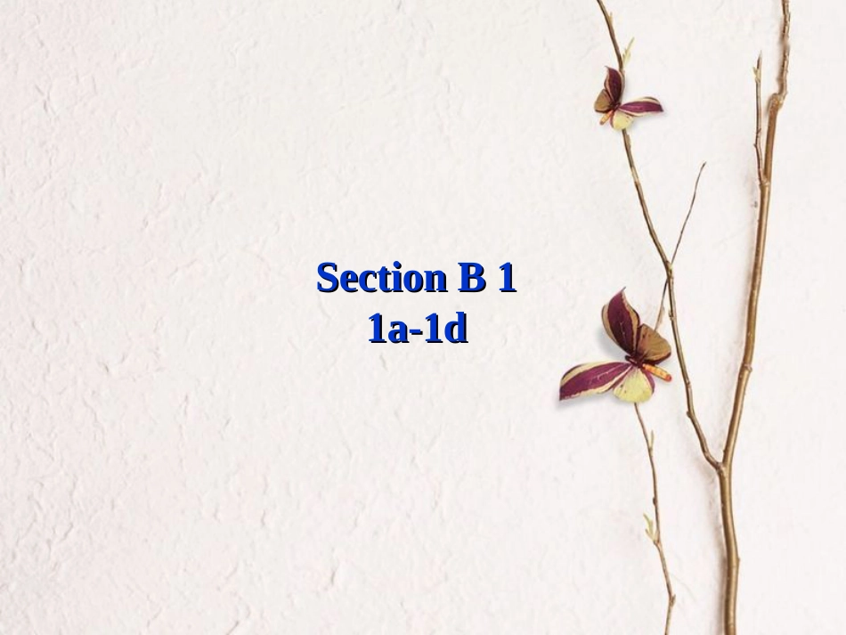 （水滴系列）七年级英语下册 Unit 4 Don’t eat in class（第4课时）Section B（1a-1d）课件 （新）人教新目标_第2页