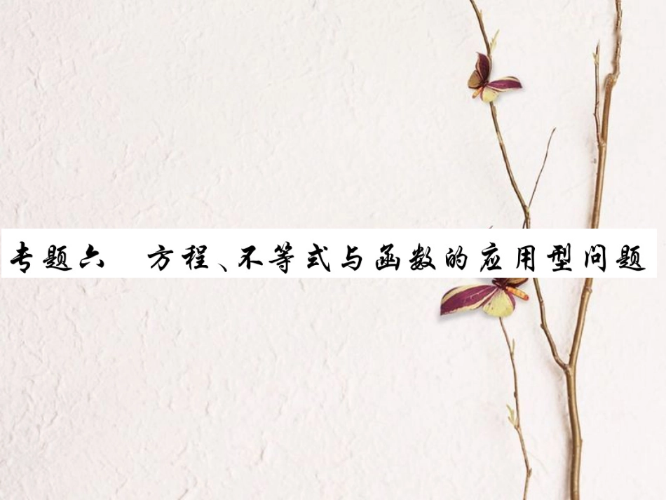中考数学总复习 第二轮 中考专题提升 专题六 方程、不等式与函数的应用型问题（练册本）课件[共20页]_第1页