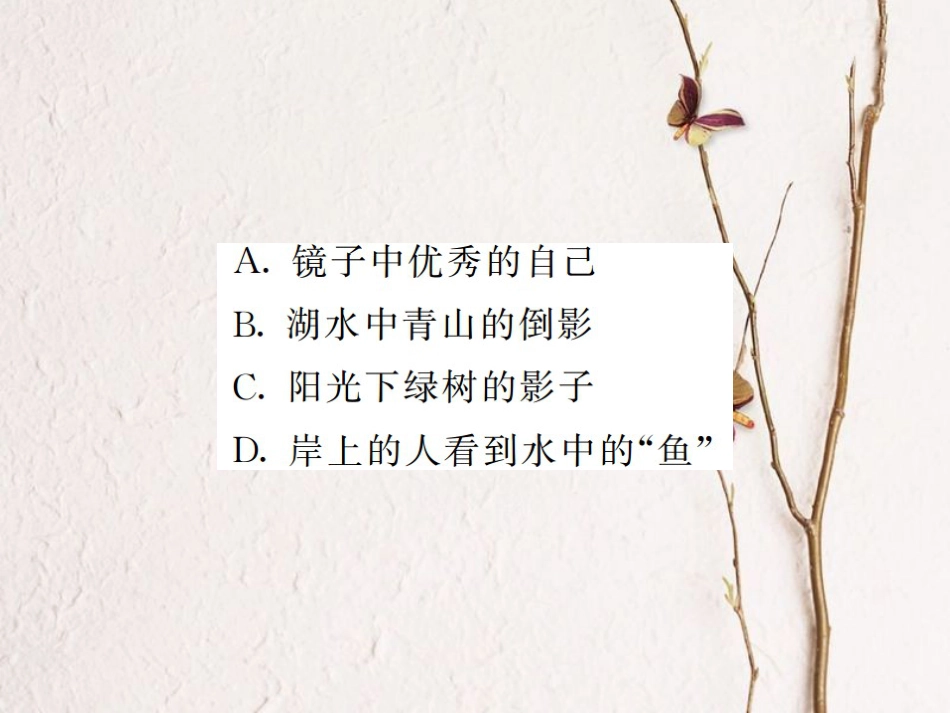 八年级物理上册 优生培养计划（四）课件 （新版）新人教版[共22页]_第3页